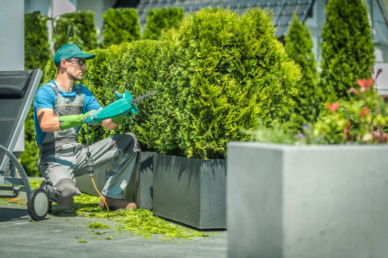 Commercial Shrub Trimming