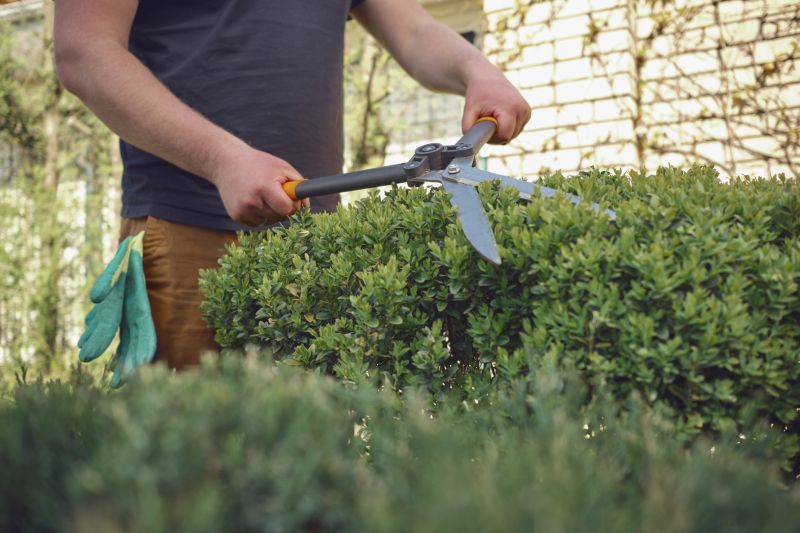 Close-up of Shrub Trimming Tools