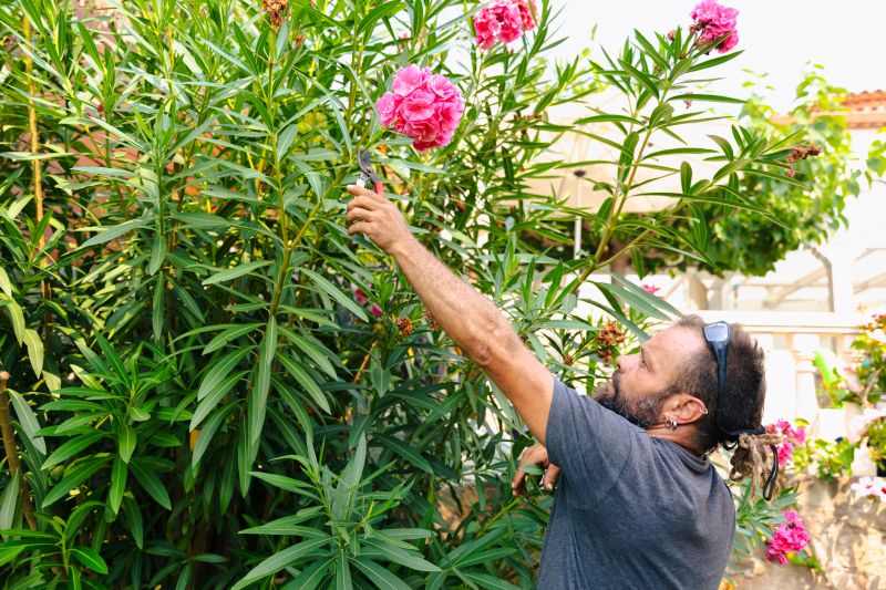 Close-up of Shrub Pruning