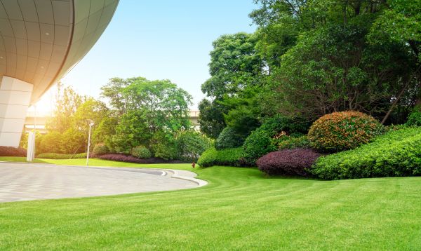 Commercial Shrub Trimming in Broomfield