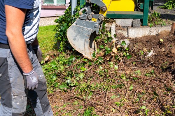 Hedge Removal Service in Broomfield