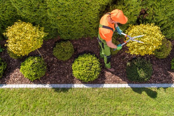 Cost of Topiary Trimming in Broomfield