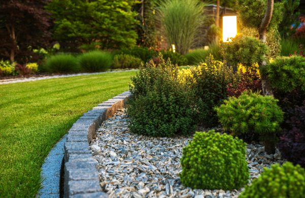 Cost of Bush Relocation in Broomfield