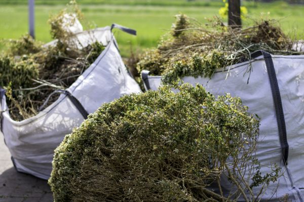 Shrubs Removal in Broomfield