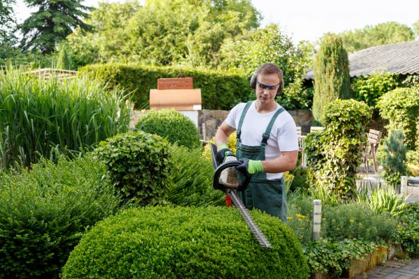 Shrubs Trimming in Broomfield